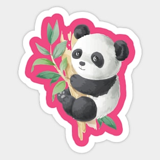 Panda Desing Sticker